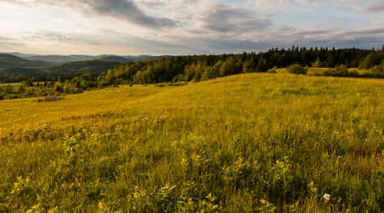 A hill top hay field in Stewarstown, New Hampshire.