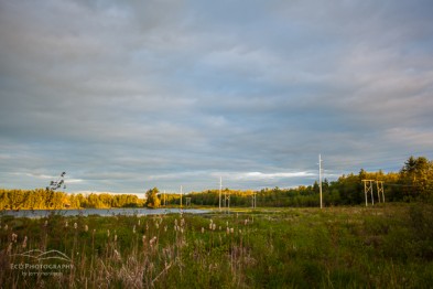 PSNH power lines crossing the wetlands at Turtletown Pond Conservation Area in Concord, New Hampshire.