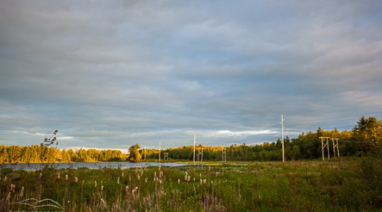 PSNH power lines crossing the wetlands at Turtletown Pond Conservation Area in Concord, New Hampshire.