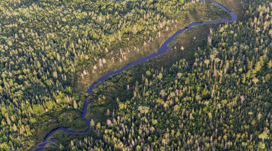 Wytipitlock Stream from the air above Reed Plantation in Reed, Maine.