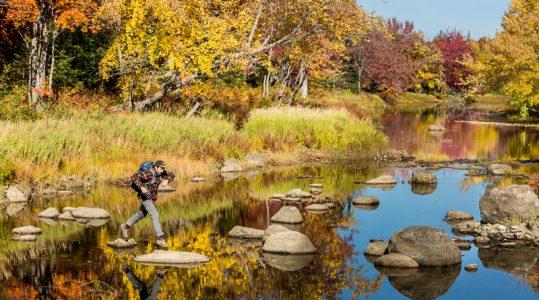 A man crosses Mud Brook, a tributary of the East Branch of the Penobscot River in Maine's Northern Forest.