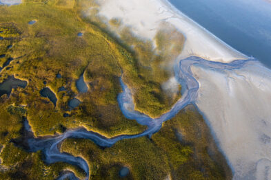 Drone view of salt marsh and tidal creek on the New Hampshire Seacoast.