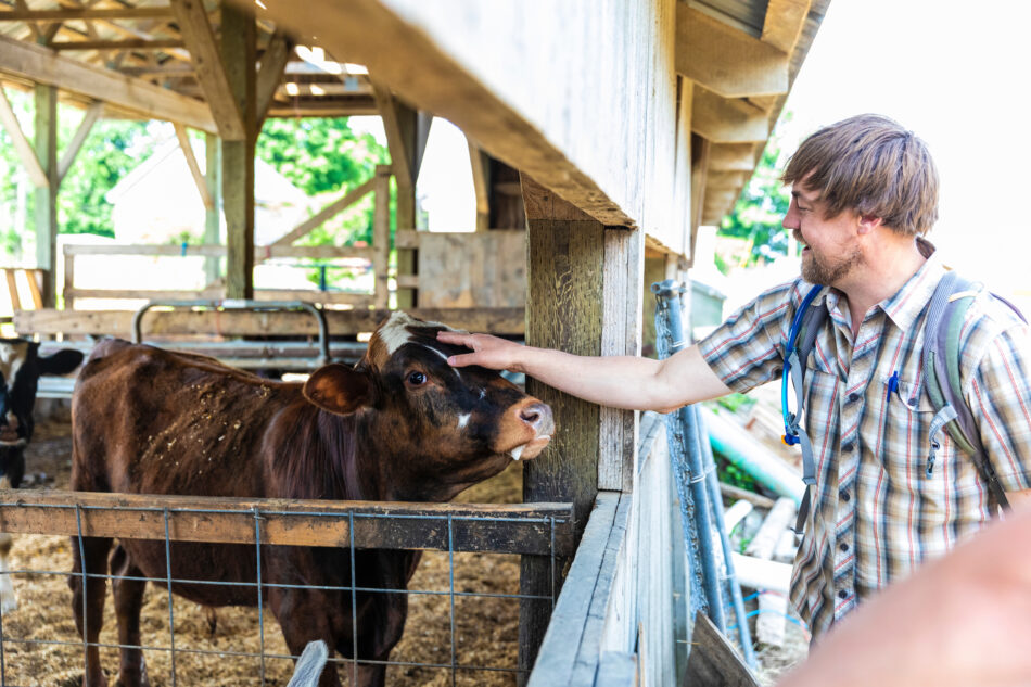 SELT's Jeremy Lougee on a dairy farm in Greenland, New Hampshire.