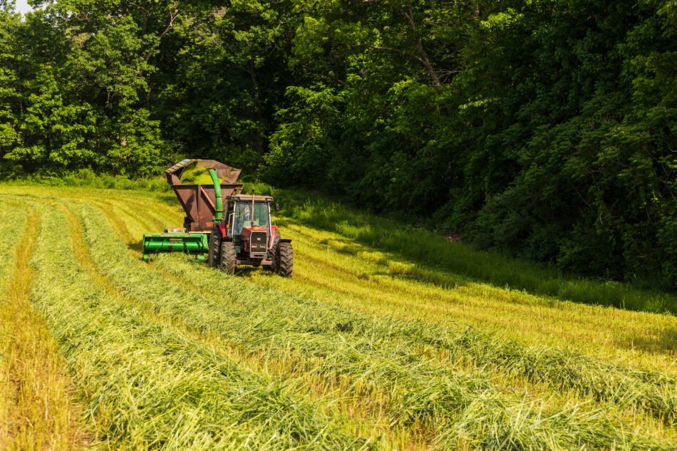 Hay harvest on a farm in Greenland, New Hampshire.
